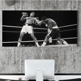 Muhammad Ali Sting - Boxing